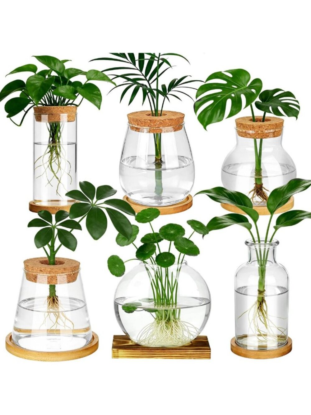 6 Pcs Glass Plant Propagation Stations with Wooden Lid & Bamboo Stand